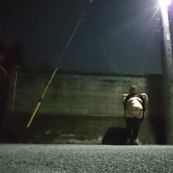 【アウト】性器晒し公然わいせつ、素人露出投稿エロ画像の画像