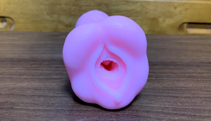 逆ヒダヴァギナージュを前から見た画像