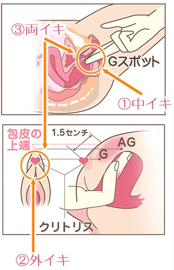 Gスポットやポルチオの刺激の仕方