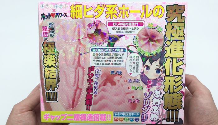 半熟サキュバス外伝 淫魔忍法サキュ手裏剣のパッケージ画像