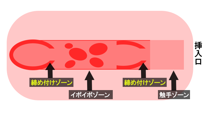 ポンコツガーディアンオルタナティブLV999の内部構造のイラスト画像