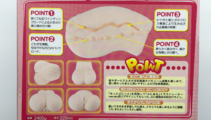 ぷにあなDXの内部構造を説明した画像