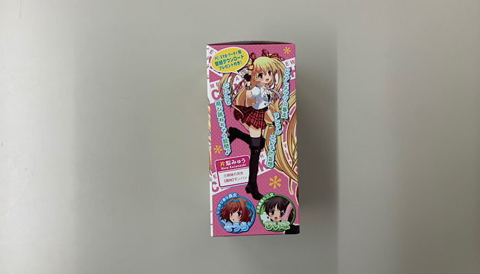ちんこき！　父の淫事を聞きなさい！みゅう』のパッケージ横画像