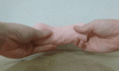ロォリンコアナルWポジション・オナホールの伸縮アニメーション画像