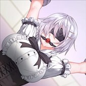 復讐の女仕官ハイネ 〜肢体に刻まれる淫欲のプログラム〜