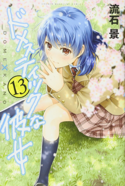 ドメカノ 13巻