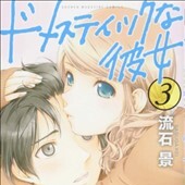 ドメスティックな彼女3巻