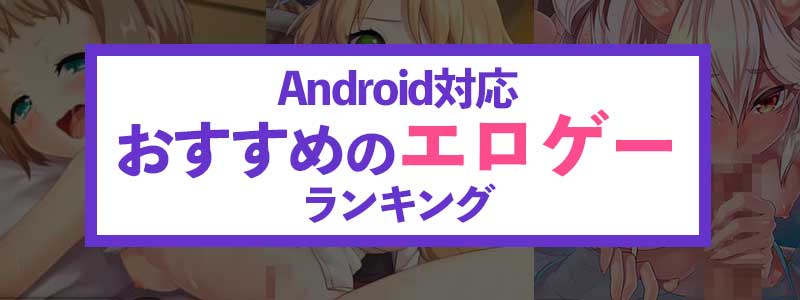 Android対応エロゲーの評価基準