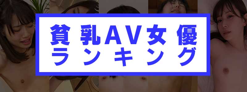 貧乳AV女優ランキングの評価基準