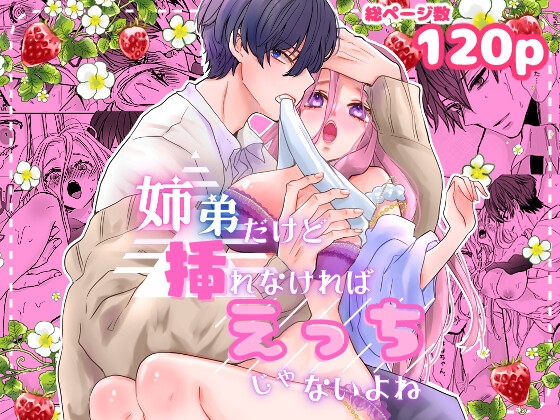 姉弟だけど挿れなければえっちじゃないよね　表紙