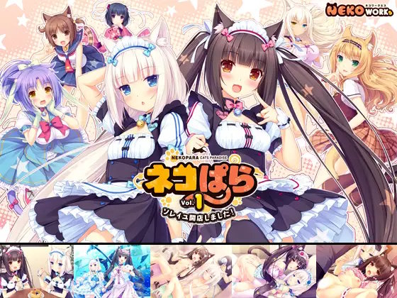 ネコぱら1