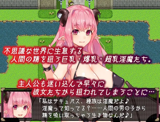 不思議の国のサキュバス2