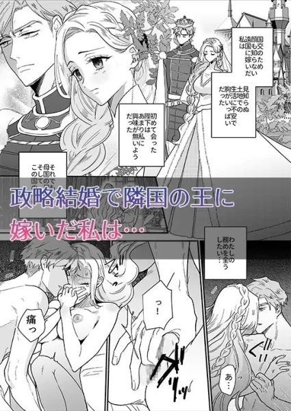 王妃は夫を殺した義弟に堕とされる サンプル画像1