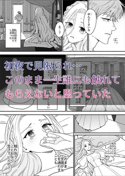 王妃は夫を殺した義弟に堕とされる サンプル画像2
