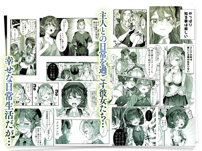 奴隷を調教してハーレム作る～育てた奴隷たちと純愛ハーレムHするまでの話～ サンプル画像2
