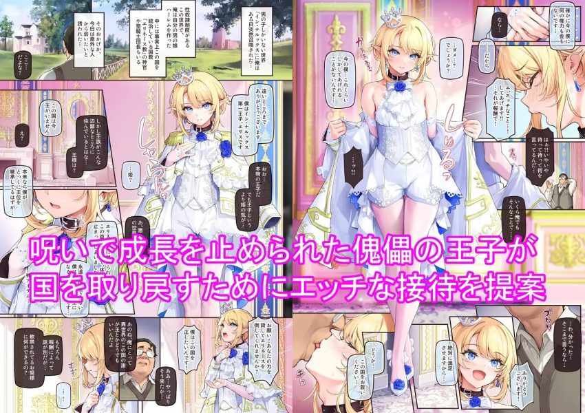 異世界オトコノコ王子従順隷奴 サンプル画像1