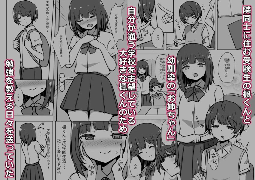 ボクとお姉さんの気持ちいいお勉強 サンプル画像1