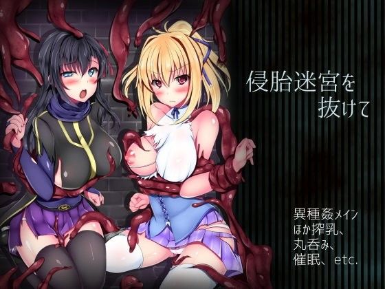 侵胎迷宮を抜けて トップ画像