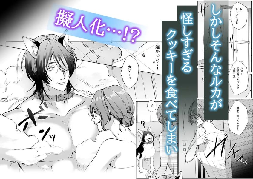イケオジになった愛犬が 毎晩私でオ〇ニーしてます サンプル画像2