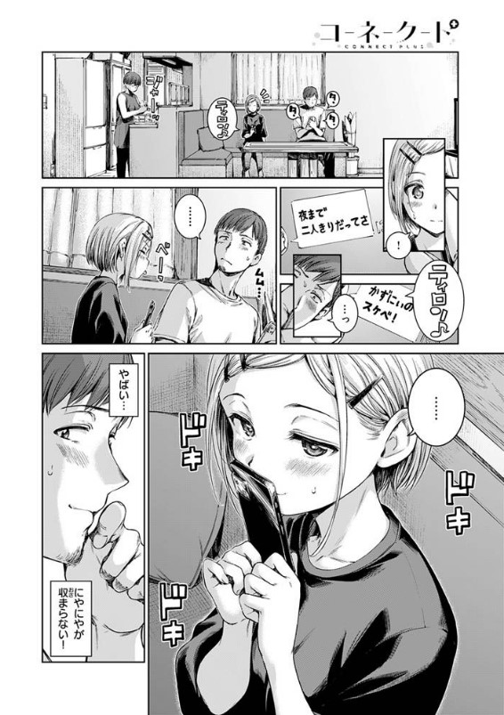 コネクト+ サンプル画像4