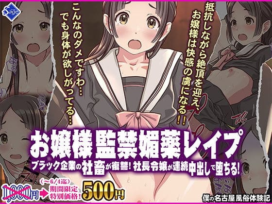 お嬢様監禁媚薬レ●プ-ブラック企業の社畜が復讐!社長令嬢が連続中出しで堕ちる!-