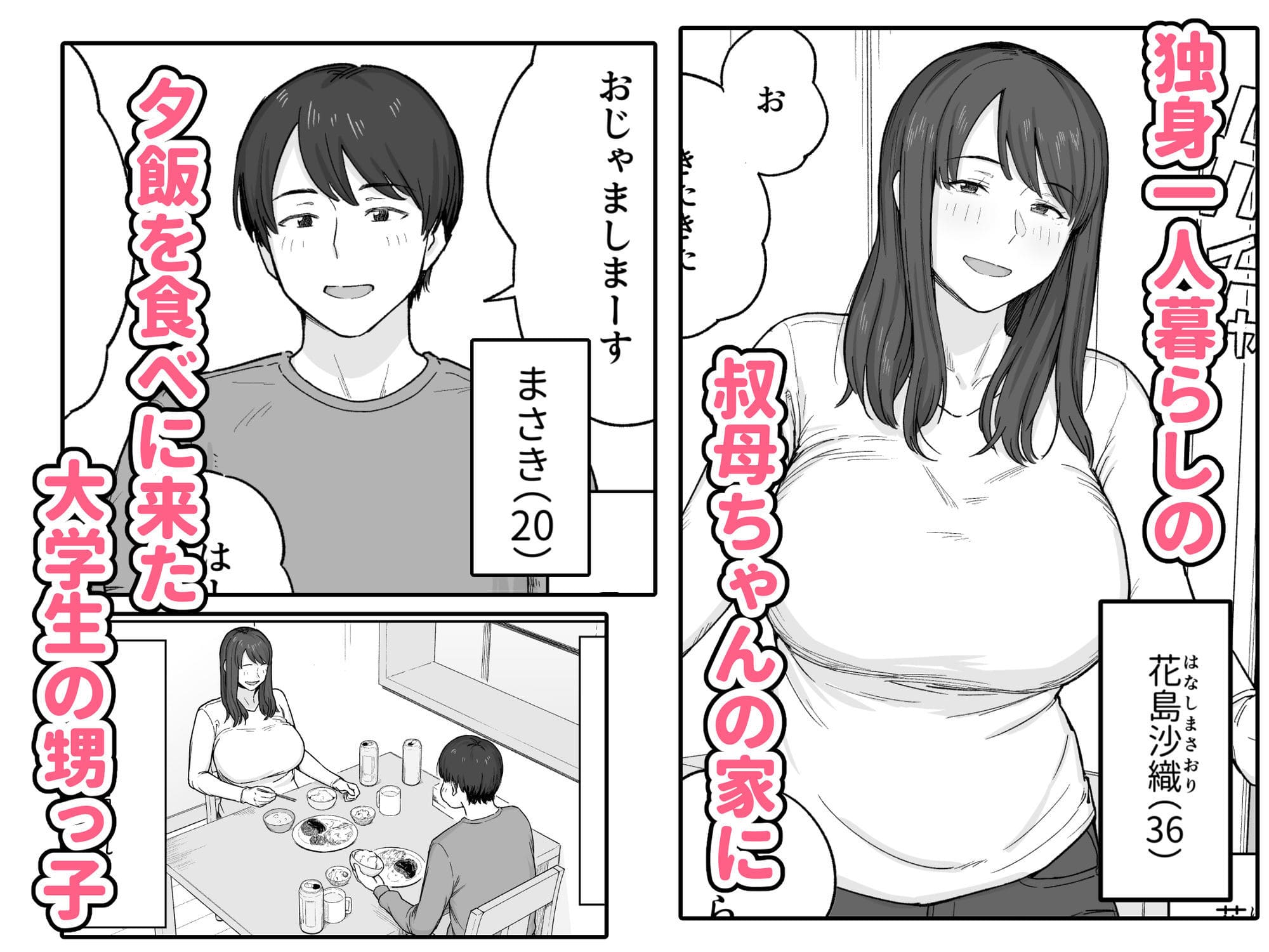 夕飯のあとは叔母ちゃんと… サンプル画像1